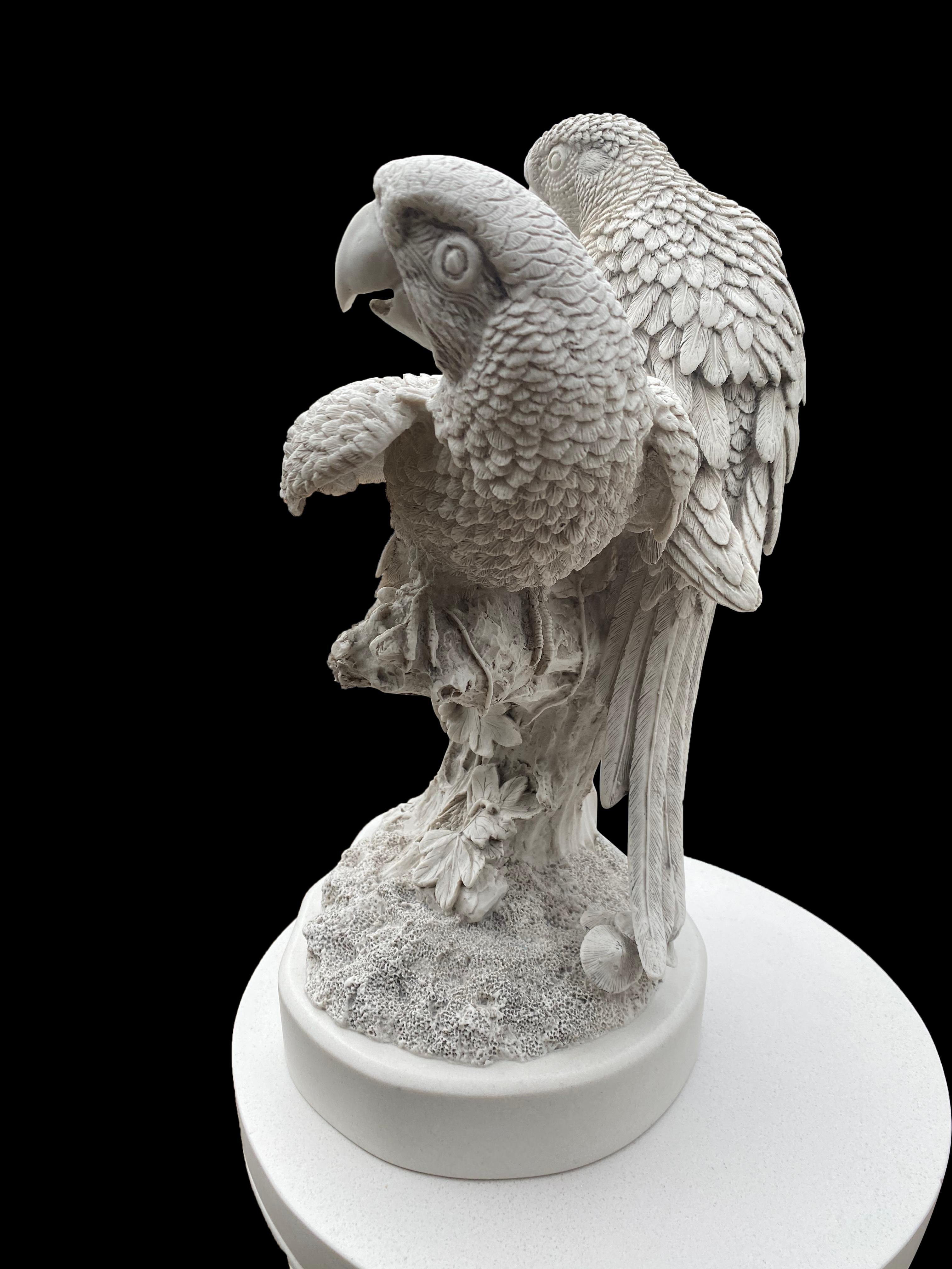Paire de sculptures de perroquet - 20ème siècle en vente 1