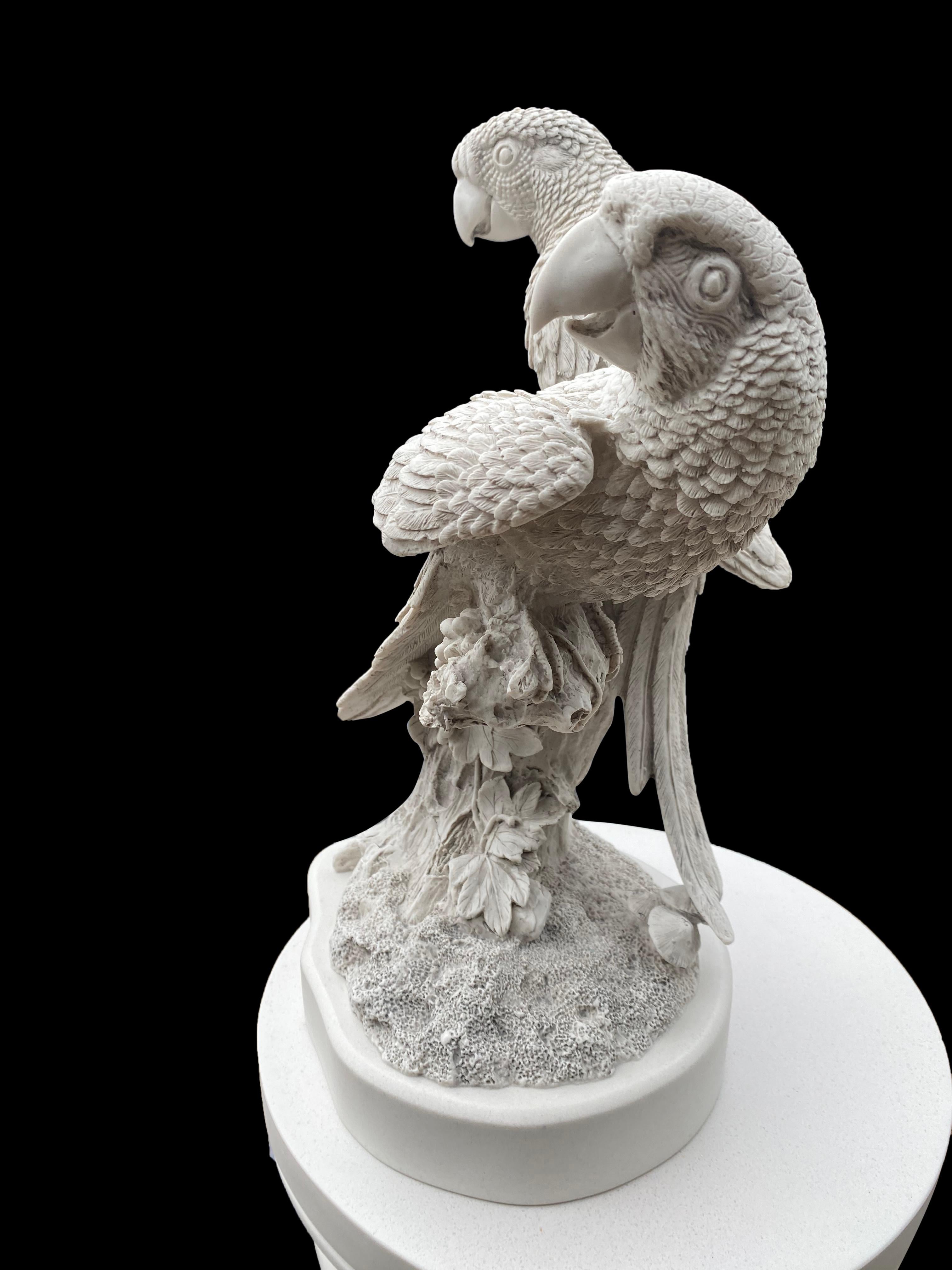 Paire de sculptures de perroquet - 20ème siècle en vente 2
