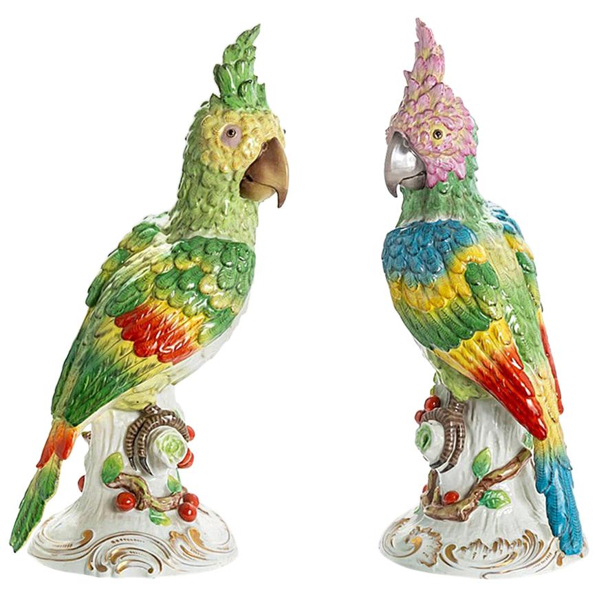 Pair of Parrots, Meissen For Sale