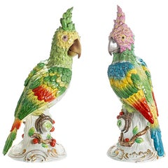 Antique Pair of Parrots, Meissen