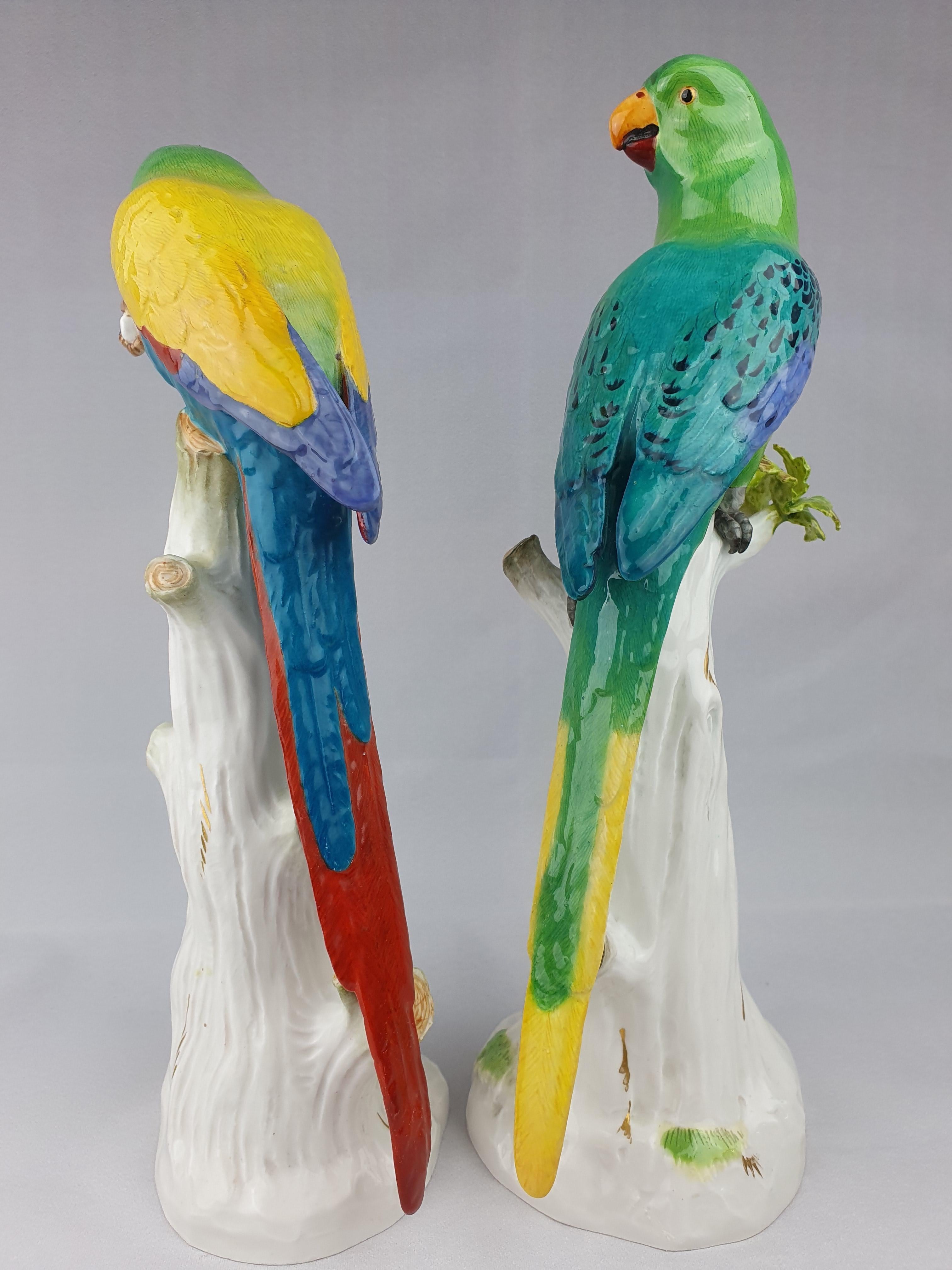 Paire de perroquets de Meissen dont un avec noix. Des plumes vertes et bleues vibrantes colorées de jaune et de rouge.

Modélisé pour la première fois par J. J. Kaendler en 1740.

Un perroquet mange une noix tandis que l'autre regarde.

Oiseau