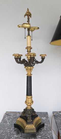 Pair of Patinated and Gilt Bronze 5 Light Charles X Candelabra