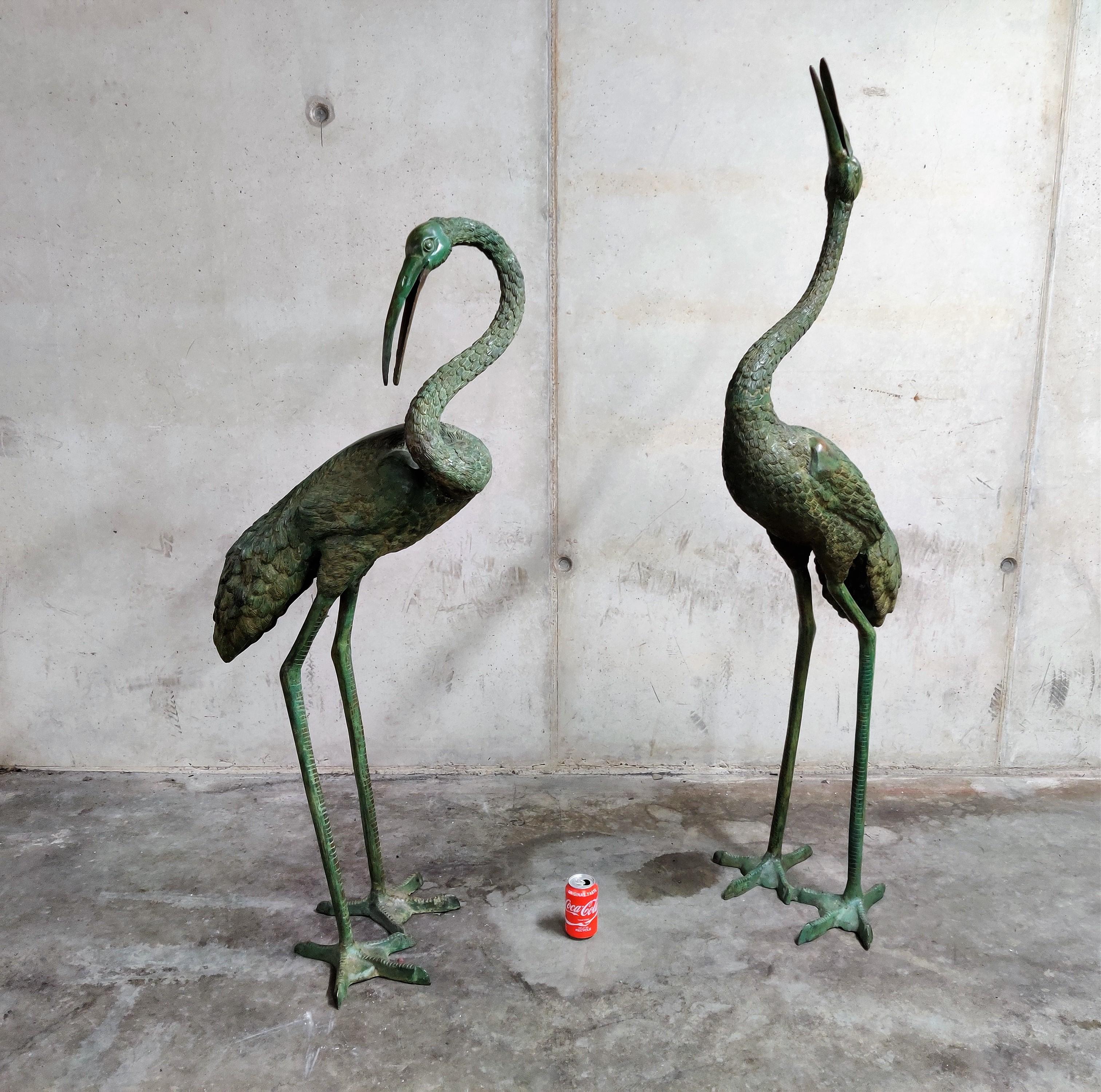 Extremely large patinated bronze crane bird statues.

Beautifully detailed an imposing bird statues suitable for both in house and garden ornaments.

Real eye catchers that rarely are available in this size

1970s, France

Measures: Height