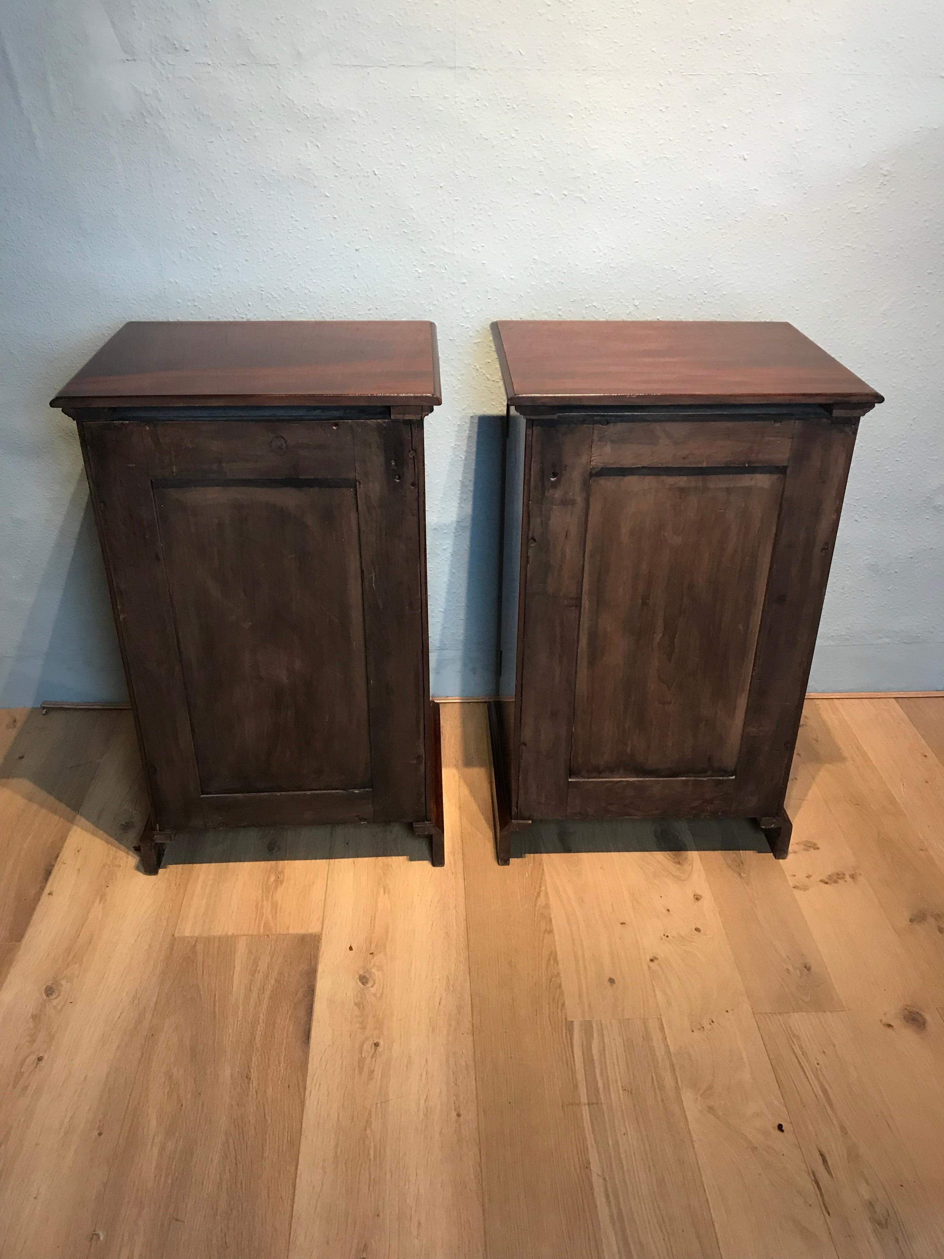 19th Century Pair of Pedestal Cabinets For Sale