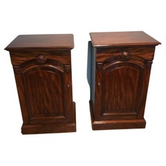 Antique Pair of Pedestal Cabinets