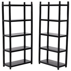 Antique Pair of Petite Chinese Collector's Shelves, circa 1900