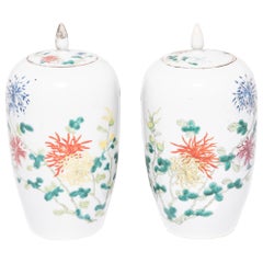 Pair of Petite Chinese Ginger Jars with Spider Chrysanthemums