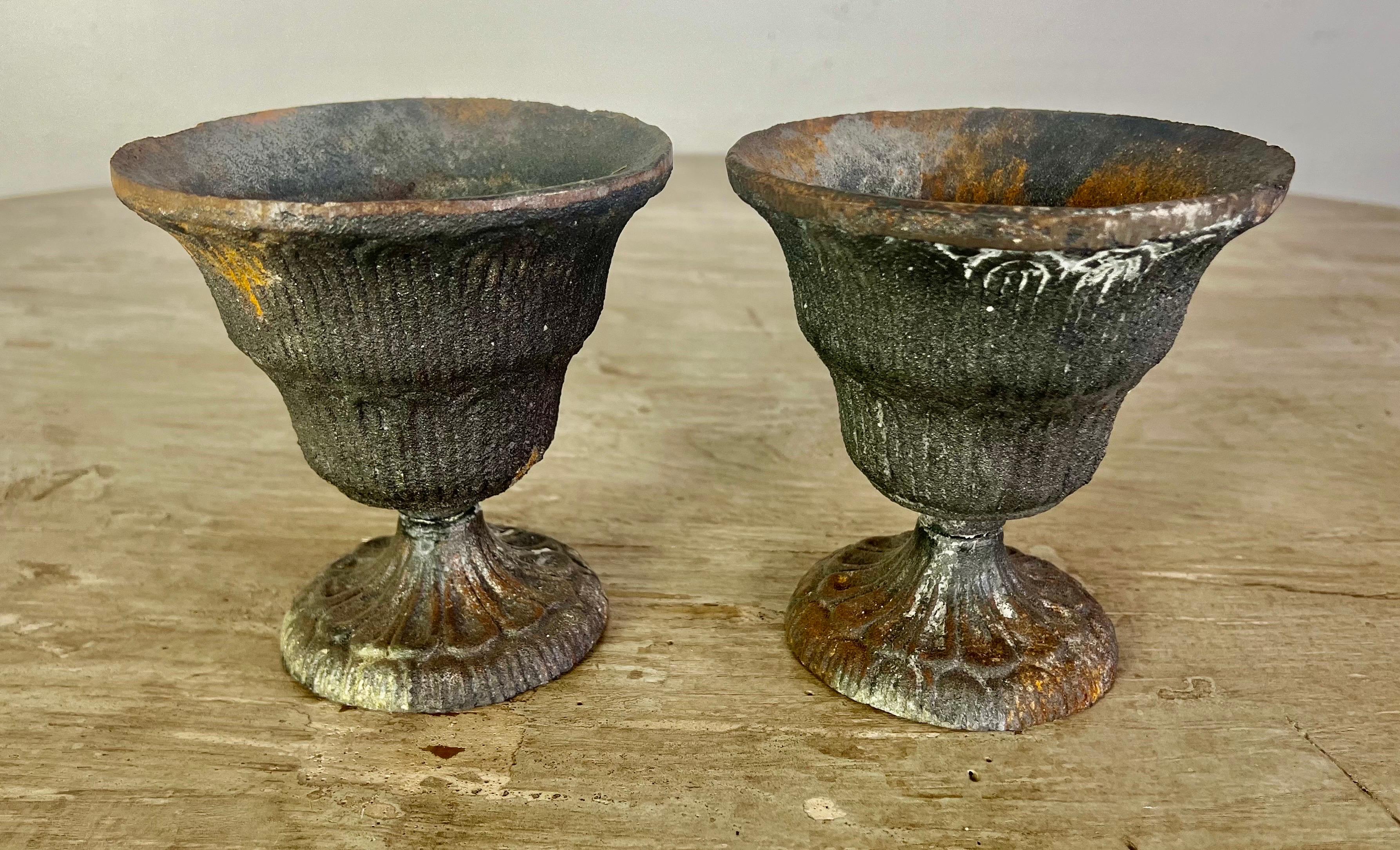 Pair of Petite French Cast Iron Urns For Sale 5