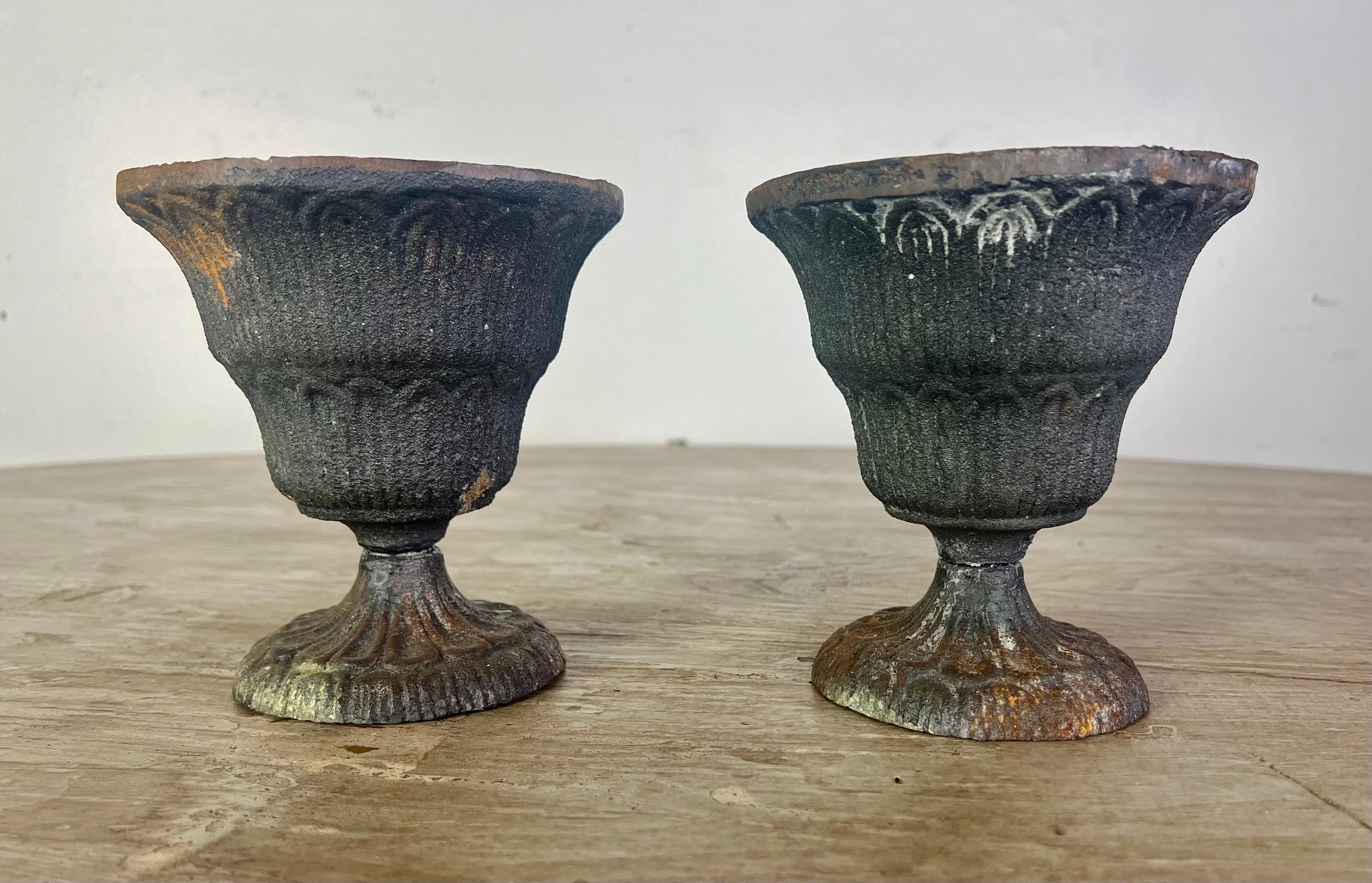 Ein Paar bezaubernde Urnen aus Gusseisen, die in Frankreich hergestellt wurden, sind ein großartiges Accessoire, das Sie in Ihrem Garten oder als Dekorationsstück in Ihrem Haus verwenden können.  Sie verleihen jedem Raum einen Hauch von rustikaler