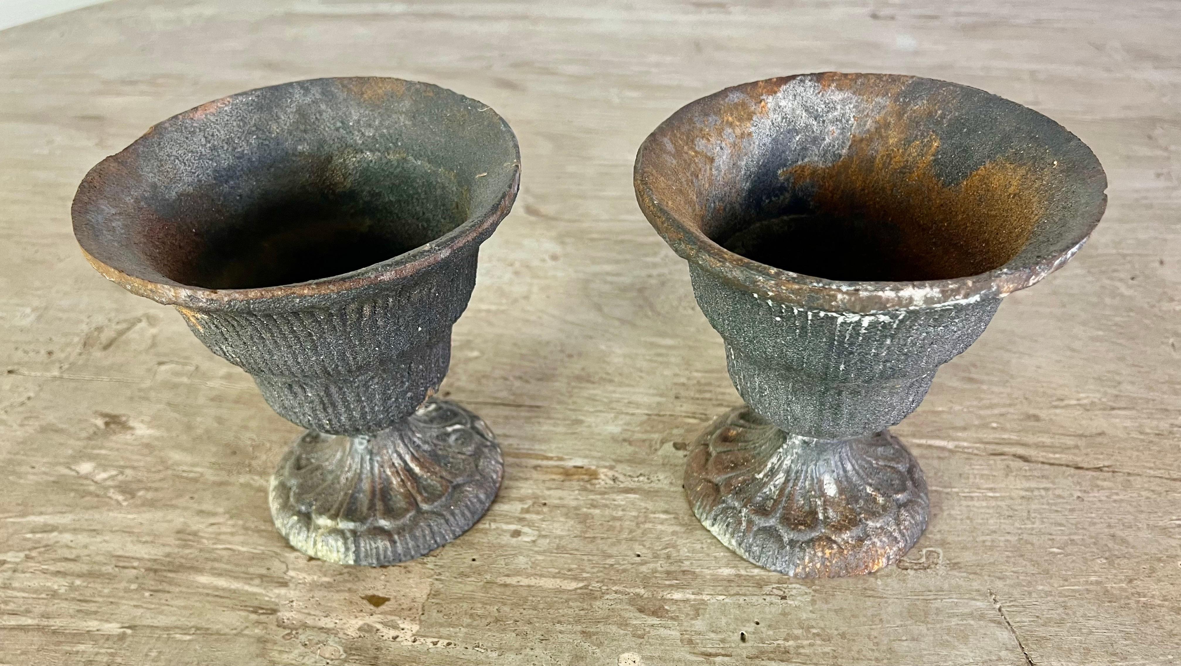 Pair of Petite French Cast Iron Urns In Distressed Condition For Sale In Los Angeles, CA