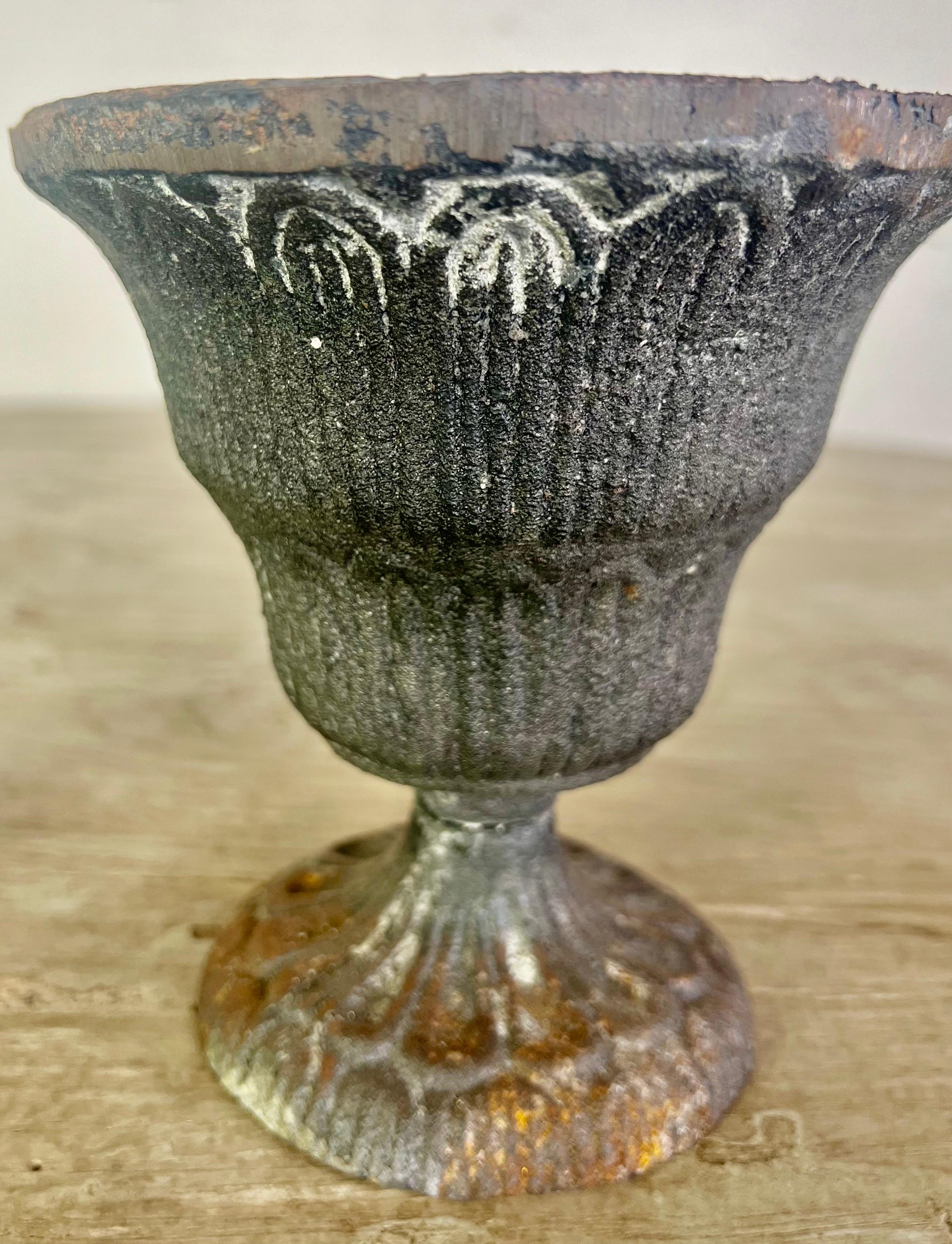Pair of Petite French Cast Iron Urns For Sale 2