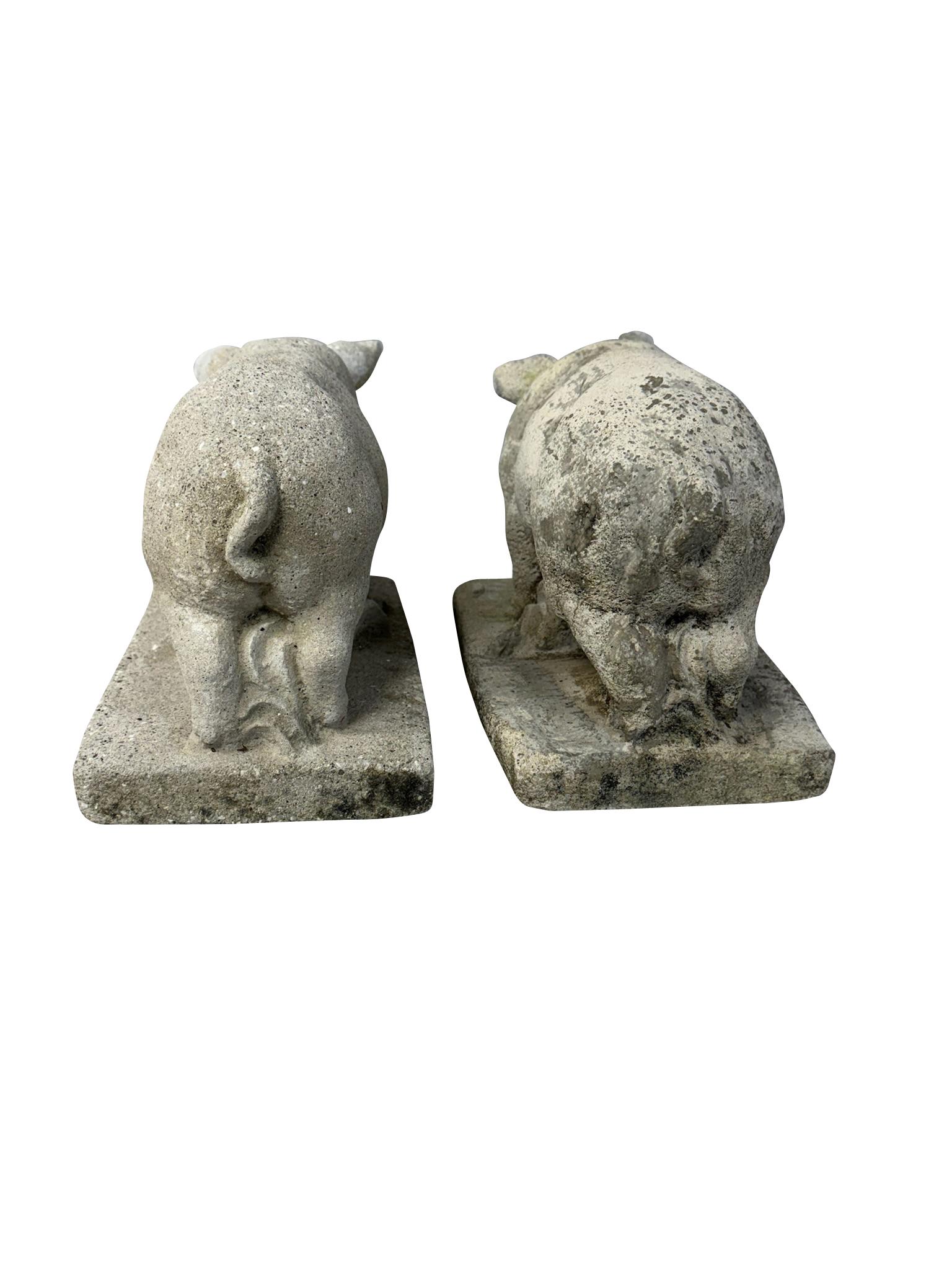 Pareja de Cerditos de Piedra en venta 2