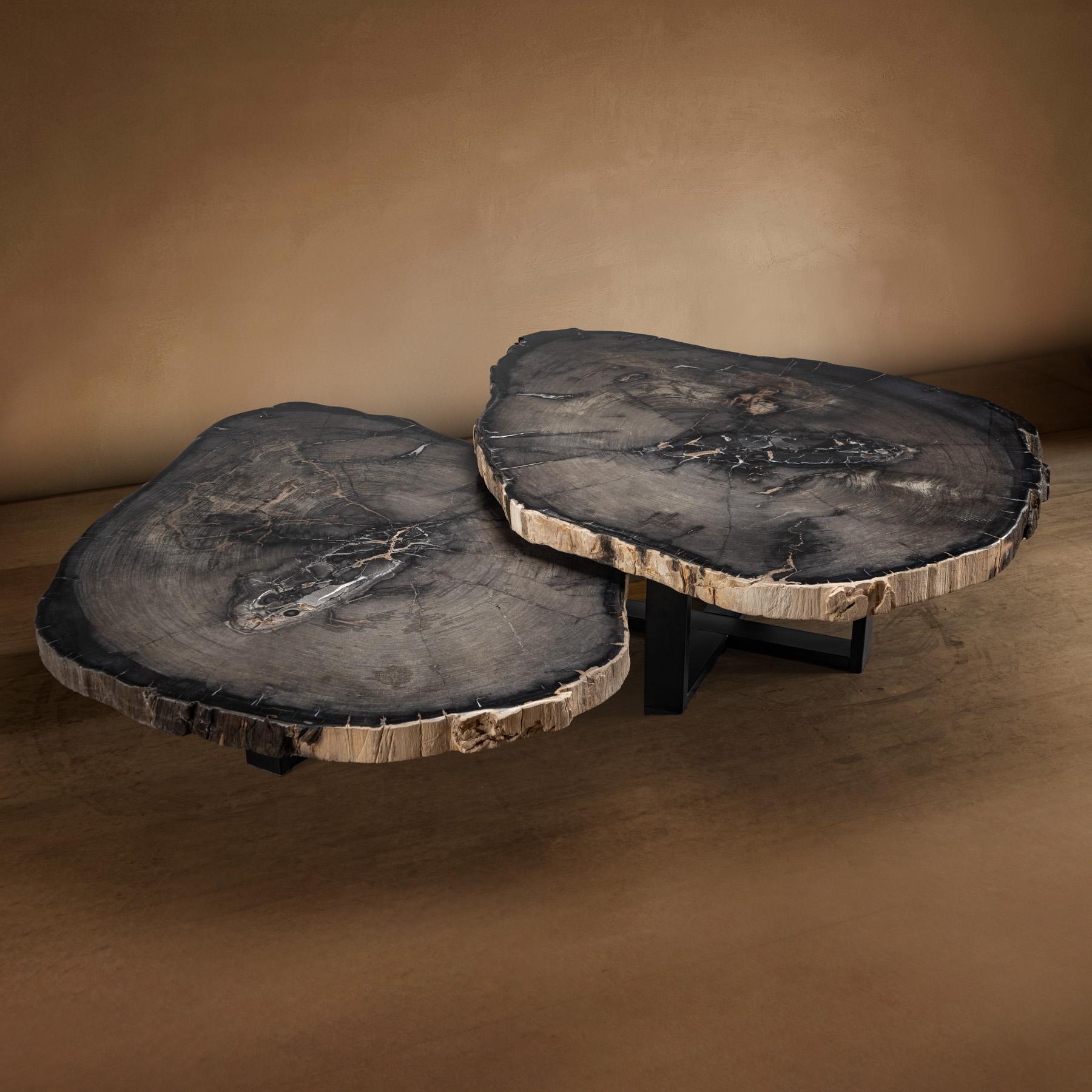 Paar Tafelaufsatz oder Couchtisch aus versteinertem Holz mit schwarzem Metallsockel (Organische Moderne) im Angebot