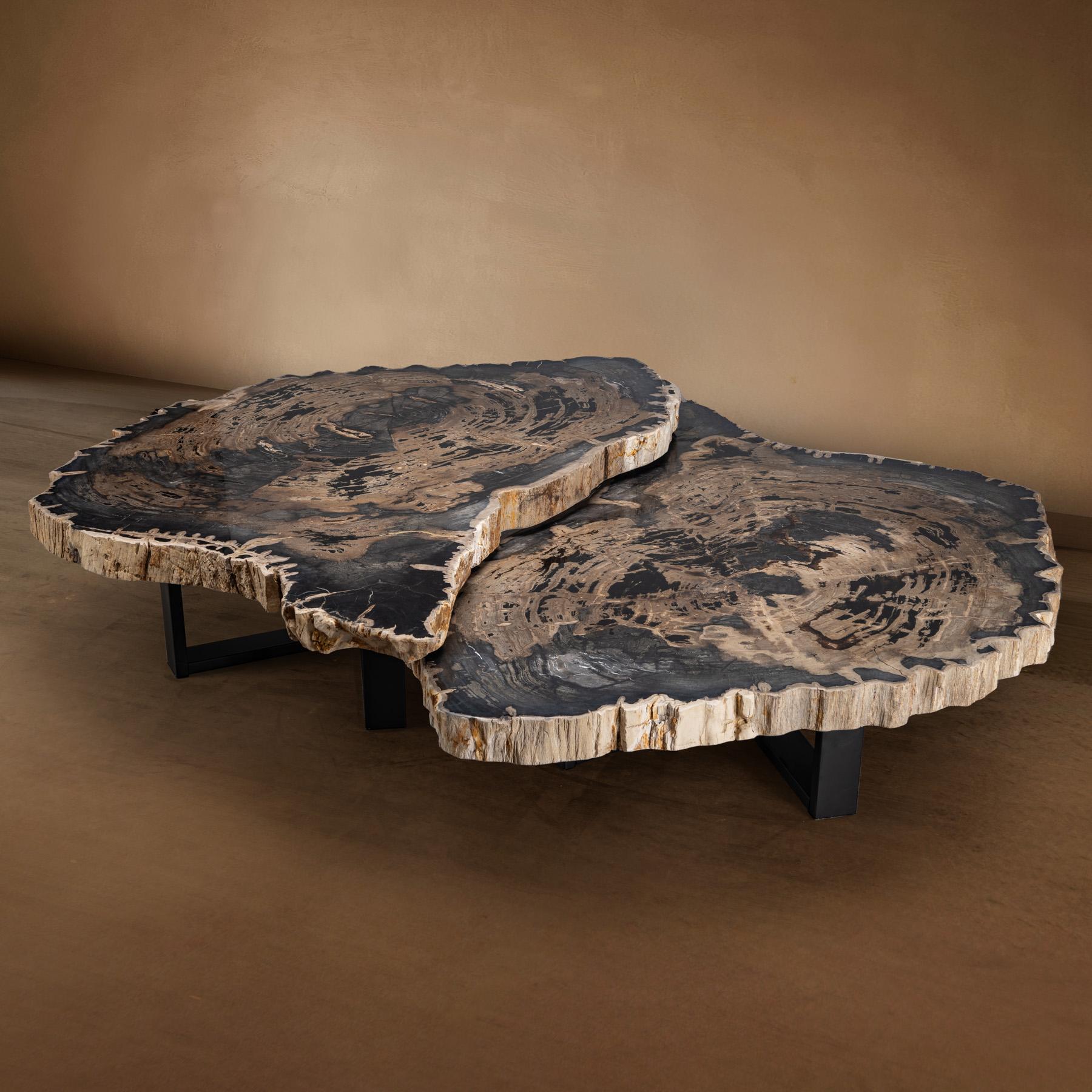 Mexican Pair of Petrified Wood Center or Coffee Table with Black Metal Base For Sale