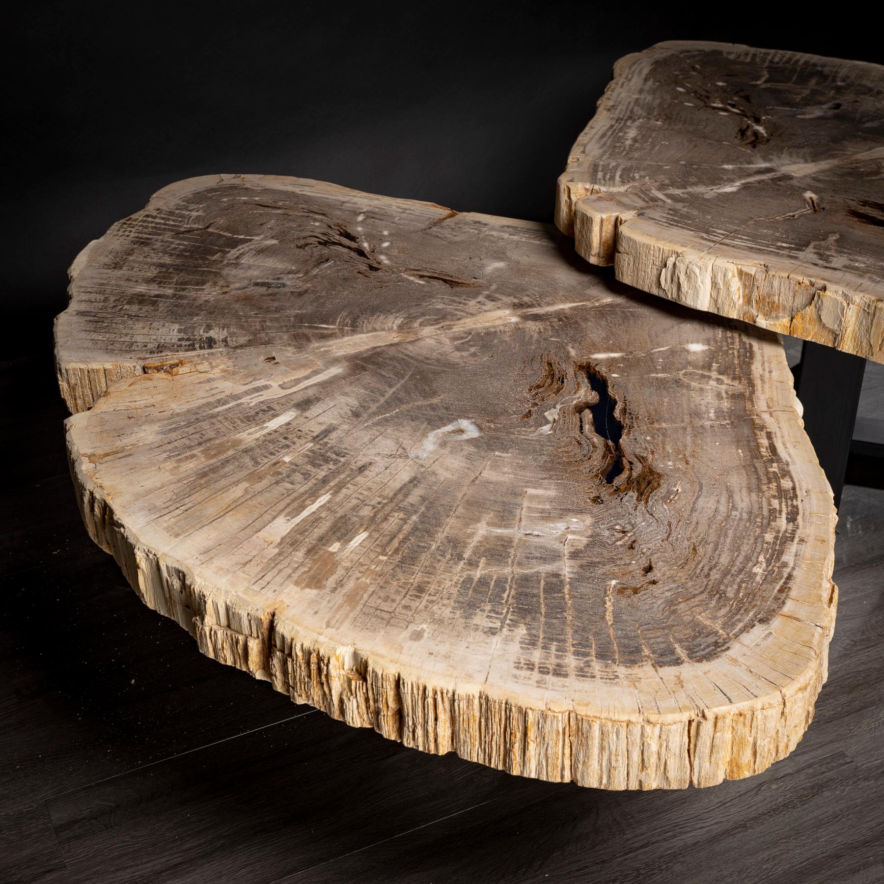 Mexican Pair of Petrified Wood Center or Coffee Table with Black Metal Base For Sale