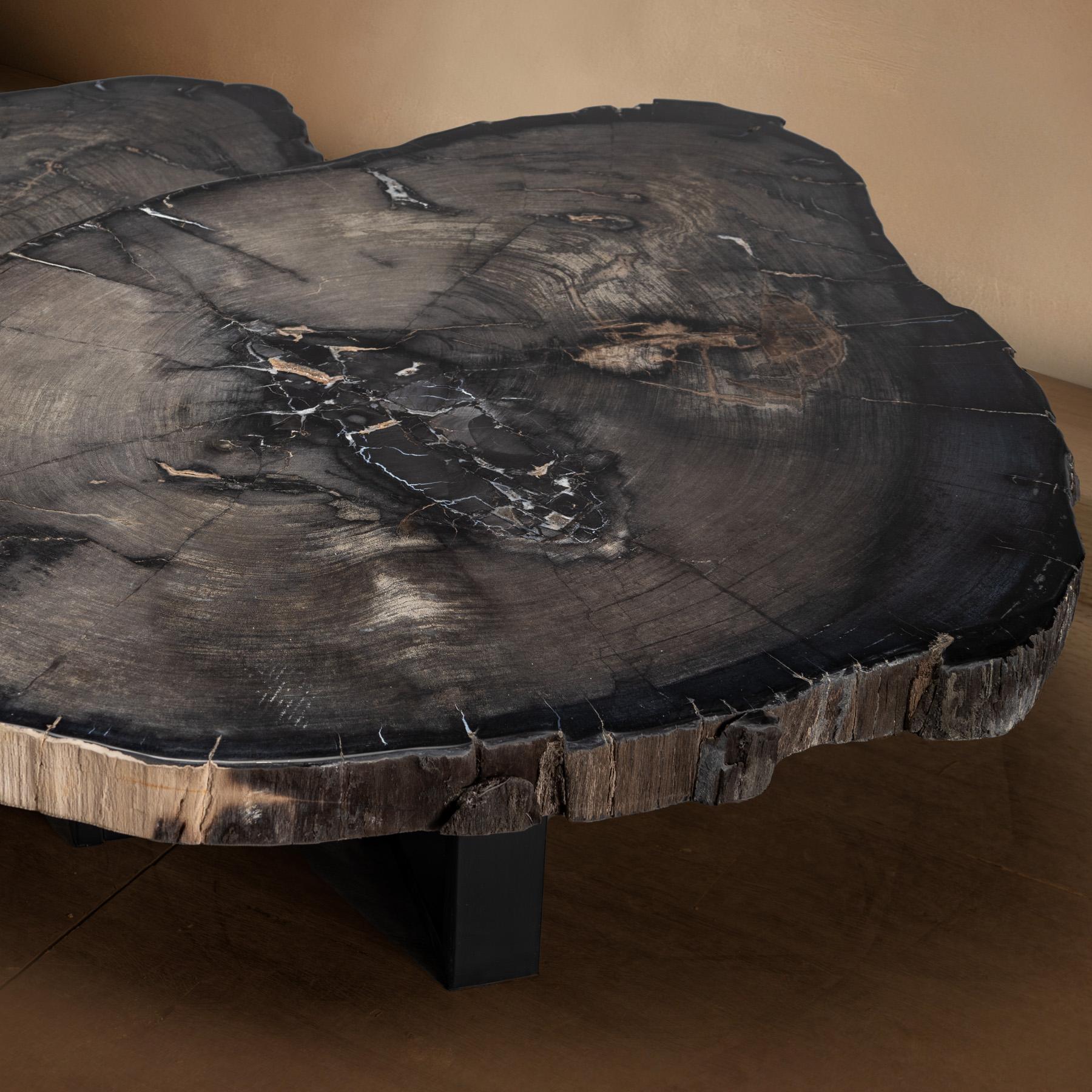 Polished Pair of Petrified Wood Center or Coffee Table with Black Metal Base For Sale