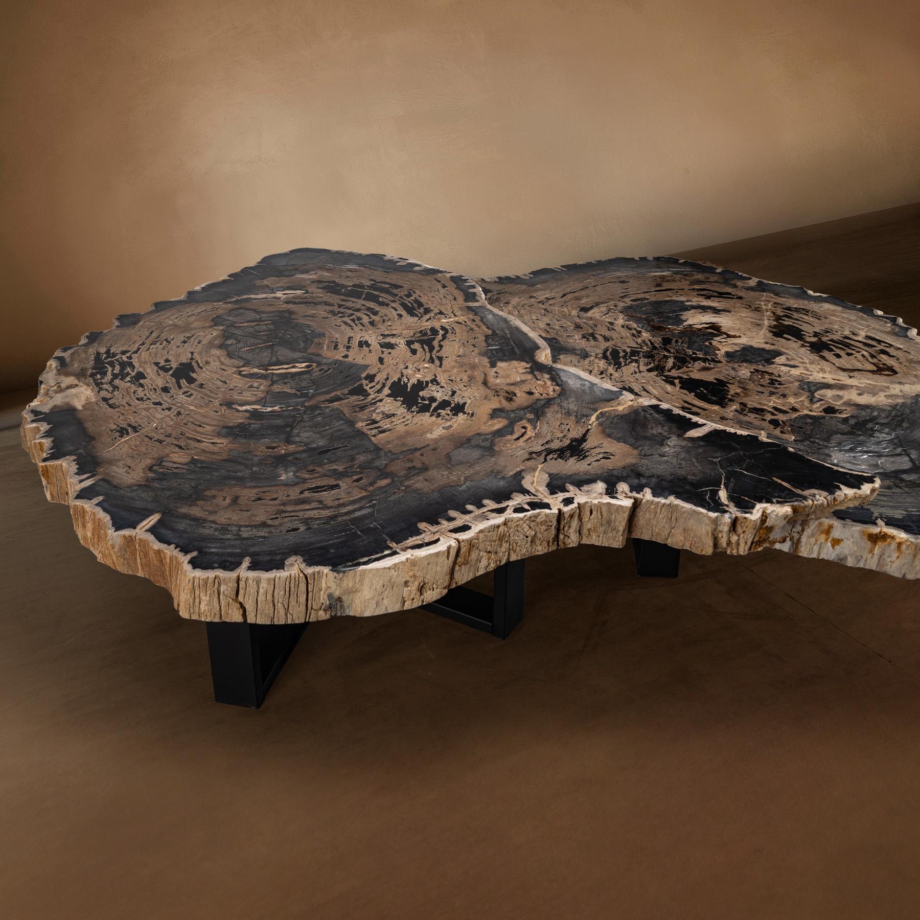 Pair of Petrified Wood Center or Coffee Table with Black Metal Base In New Condition For Sale In Polanco, CDMX
