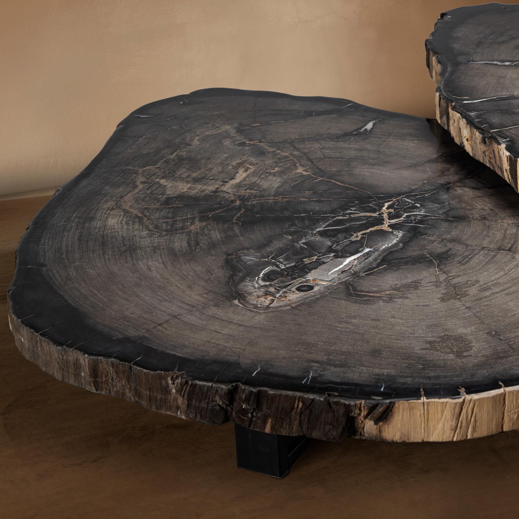 Paire de tables basses ou de centre en bois pétrifié avec base en métal noir Neuf - En vente à Polanco, CDMX
