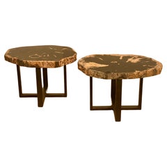 Pareja de mesas de centro de madera petrificada