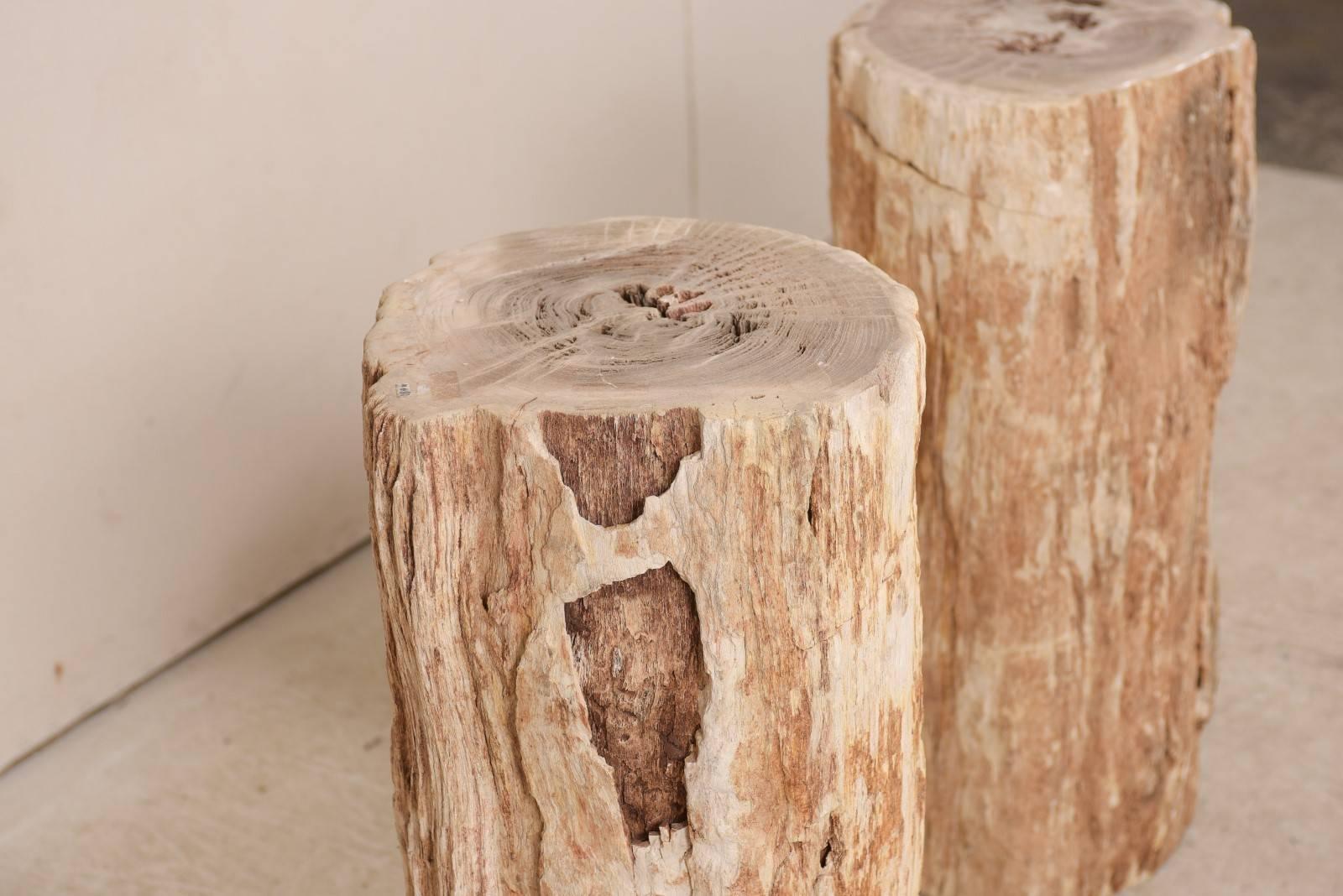 Ein Paar Beistelltische aus versteinertem Holz mit polierten Tischplatten im Angebot 4