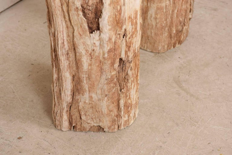 Pair of Petrified Wood Drink Side Tables with Polished Tops For Sale 7