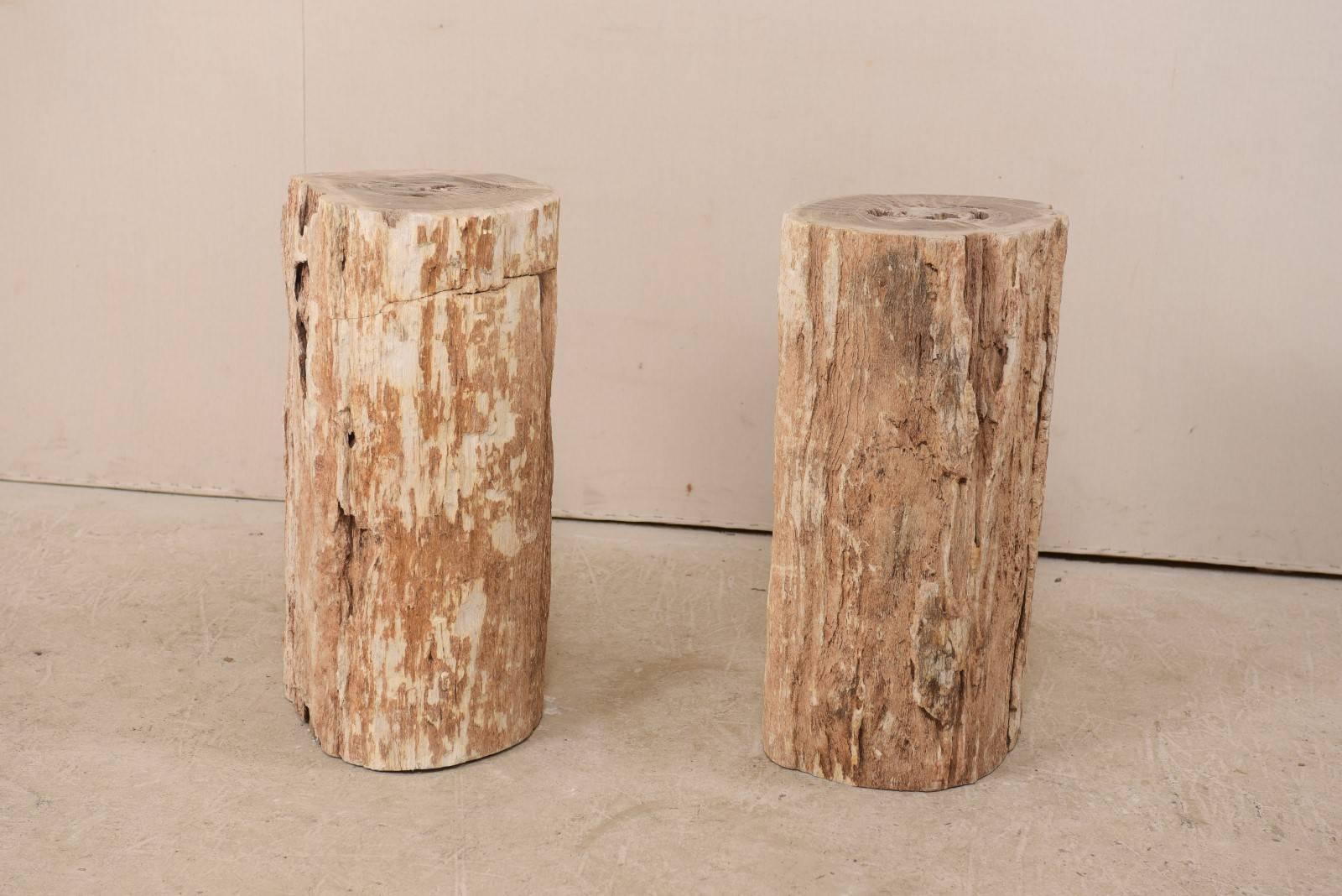 A pair of petrified wood pedestal tables. This pair of petrified wood pedestals are a warm beige with rust and bone. While the sides show a rougher finish, the tops have been polished. Petrified wood is a fossil. Over time, the petrified wood
