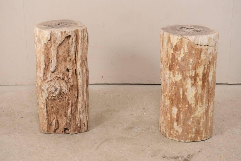 Pair of Petrified Wood Drink Side Tables with Polished Tops In Good Condition For Sale In Atlanta, GA