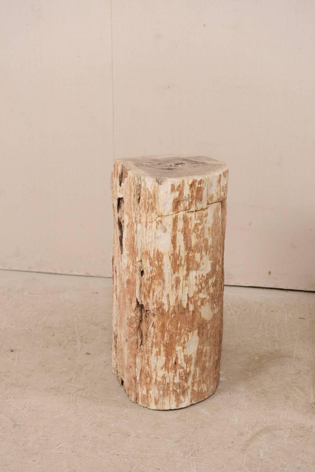 Ein Paar Beistelltische aus versteinertem Holz mit polierten Tischplatten im Zustand „Gut“ im Angebot in Atlanta, GA