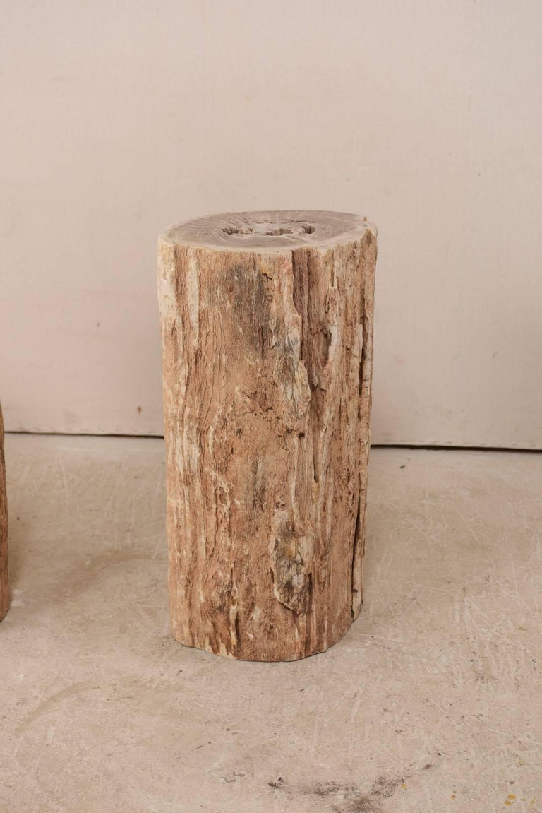 Pair of Petrified Wood Drink Side Tables with Polished Tops For Sale 1