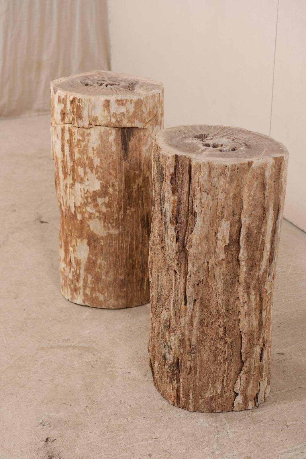 Bois fossilisé Paire de tables d'appoint en Wood Wood pétrifié avec plateaux polis en vente