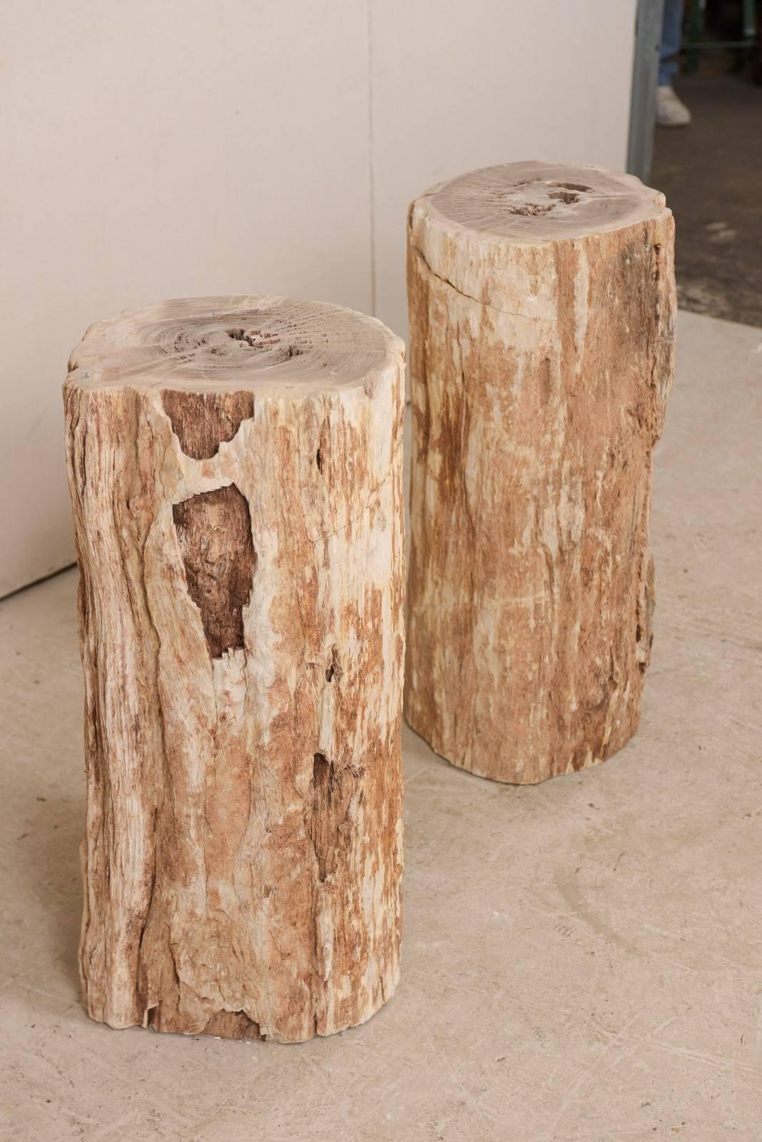 Ein Paar Beistelltische aus versteinertem Holz mit polierten Tischplatten im Angebot 1