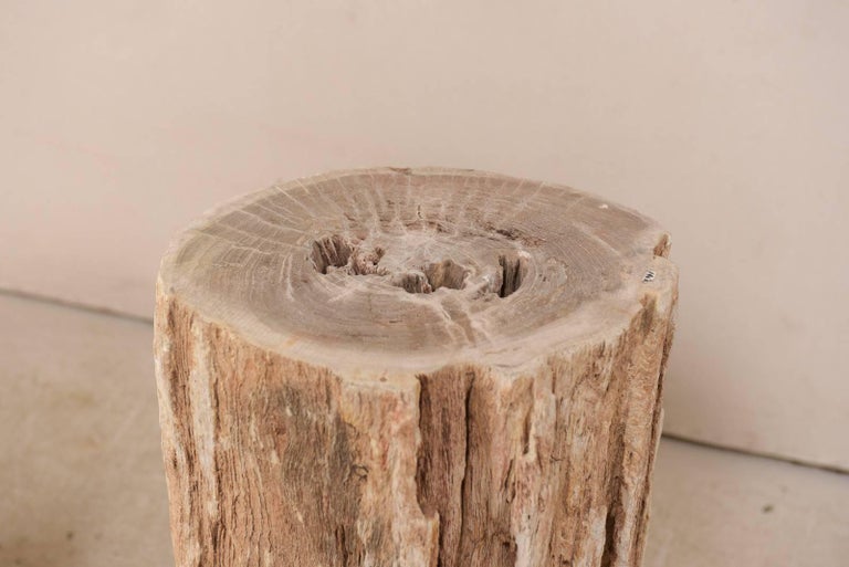 Pair of Petrified Wood Drink Side Tables with Polished Tops For Sale 4