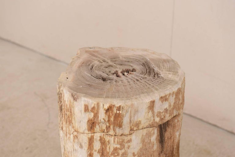 Pair of Petrified Wood Drink Side Tables with Polished Tops For Sale 5