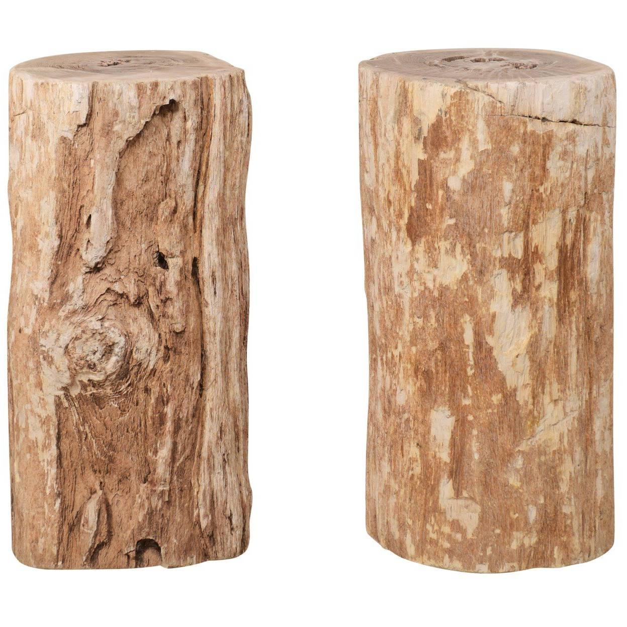 Pair of Petrified Wood Drink Side Tables with Polished Tops