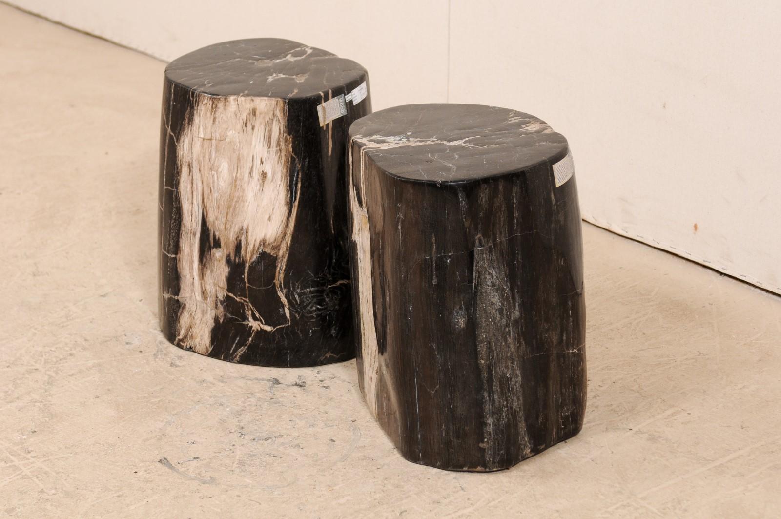 Pair of Petrified Wood Drink Tables in Rich Black Color with Streaks of Cream 6