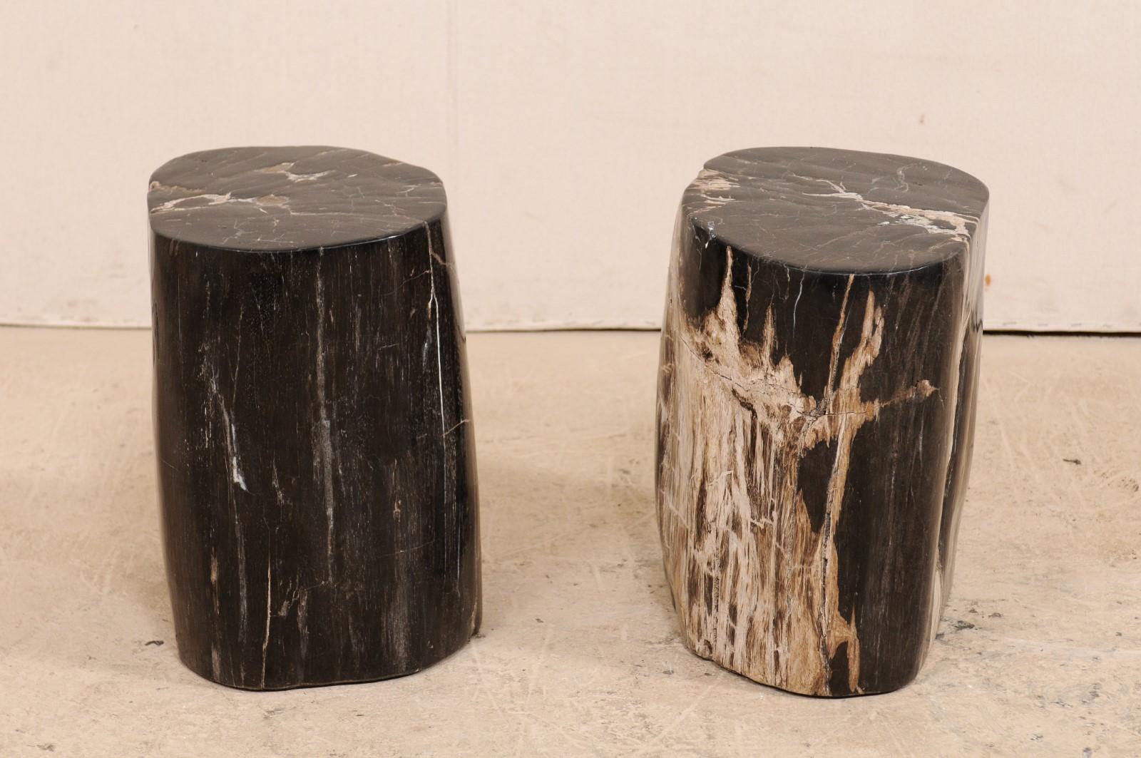 A pair of mostly black colored petrified wood drinks tables (or stools). This pair of petrified wood drinks tables features a polished finish. Petrified wood is a fossil. Over time, the petrified wood becomes so sturdy and dense that it is as heavy