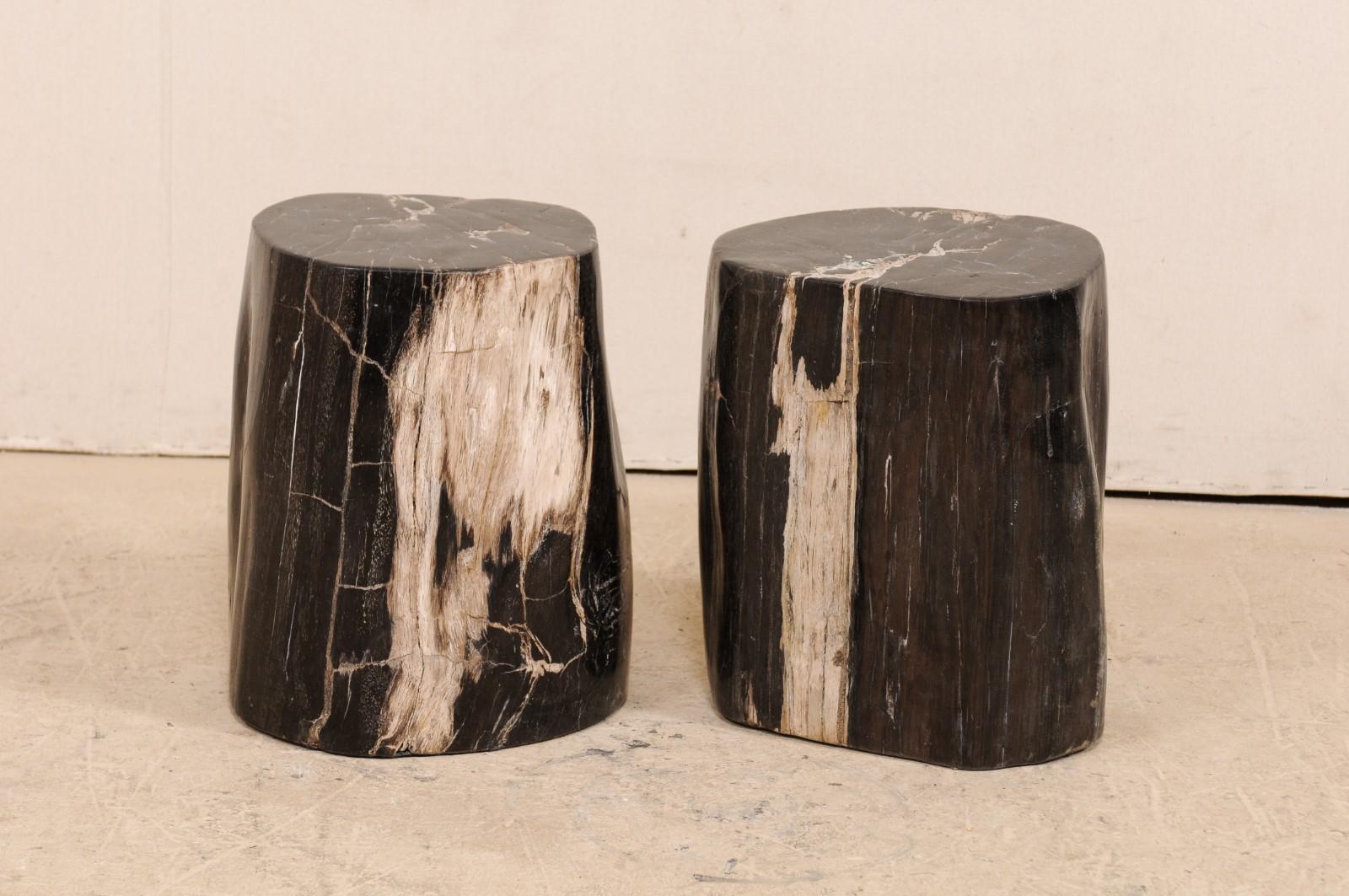 Polished Pair of Petrified Wood Drink Tables in Rich Black Color with Streaks of Cream