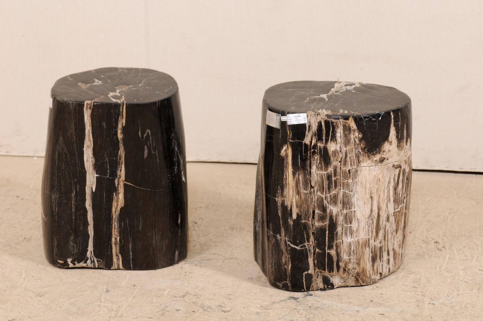 Contemporary Pair of Petrified Wood Drink Tables in Rich Black Color with Streaks of Cream