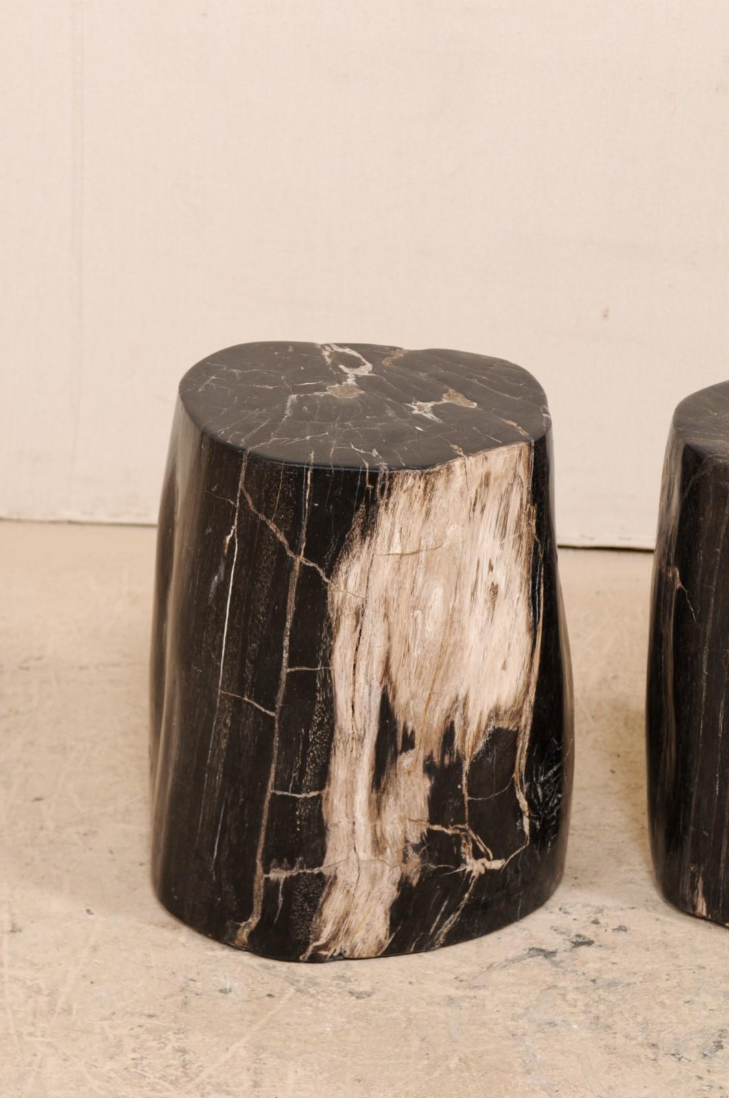 Pair of Petrified Wood Drink Tables in Rich Black Color with Streaks of Cream 1