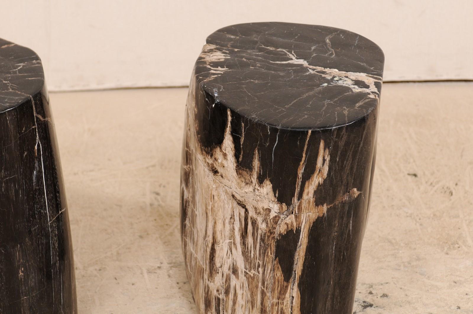 Pair of Petrified Wood Drink Tables in Rich Black Color with Streaks of Cream 2