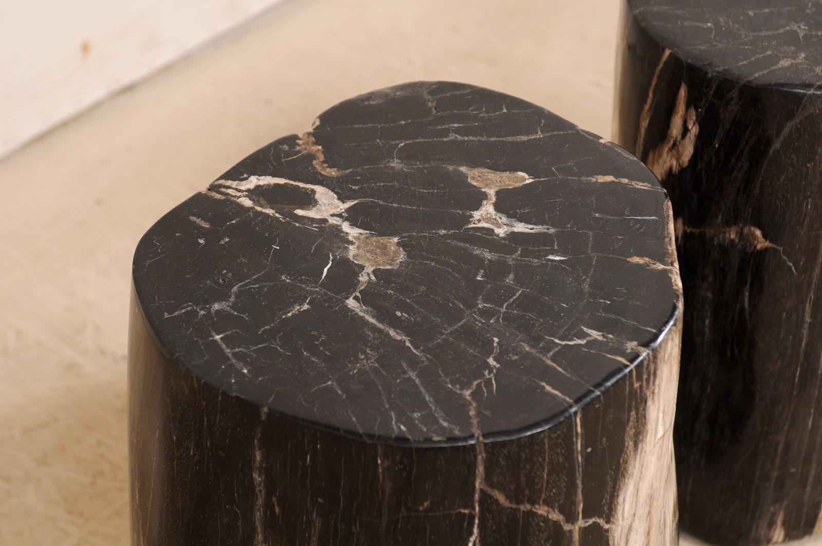 Pair of Petrified Wood Drink Tables in Rich Black Color with Streaks of Cream 3