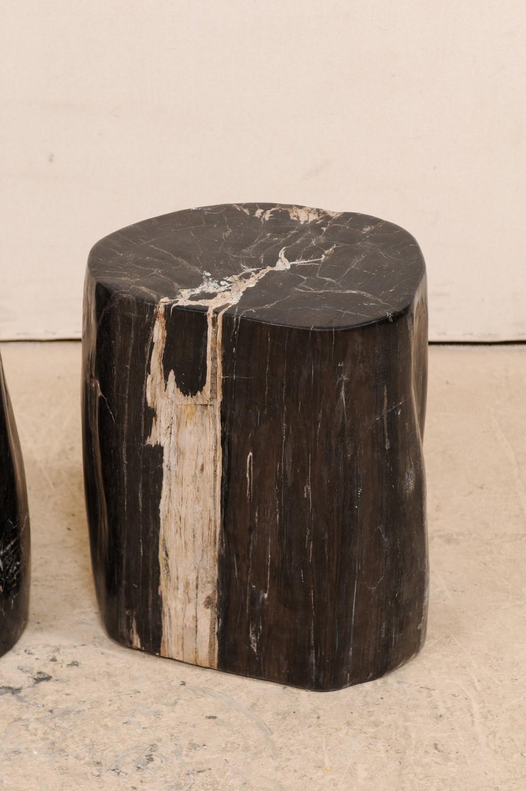 Pair of Petrified Wood Drink Tables in Rich Black Color with Streaks of Cream 4