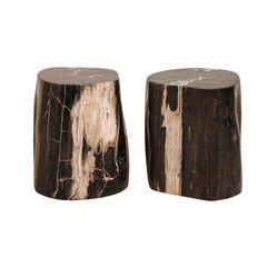 Pair of Petrified Wood Drink Tables in Rich Black Color with Streaks of Cream