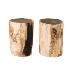 Pair of Petrified Wood Drinks Tables or Stools, Black and Tan Colored