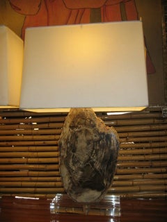 Pair of  Petrified Wood Lamps on Acrylic Bases with Shades