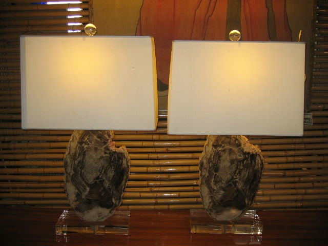 20th Century Pair of  Petrified Wood Lamps on Acrylic Bases with Shades For Sale