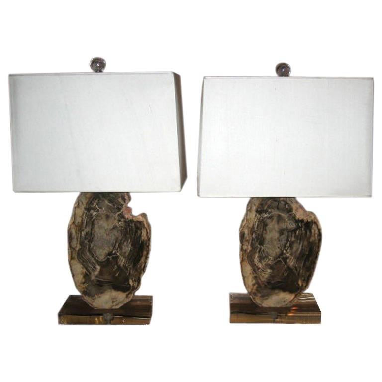 Pair of  Petrified Wood Lamps on Acrylic Bases with Shades
