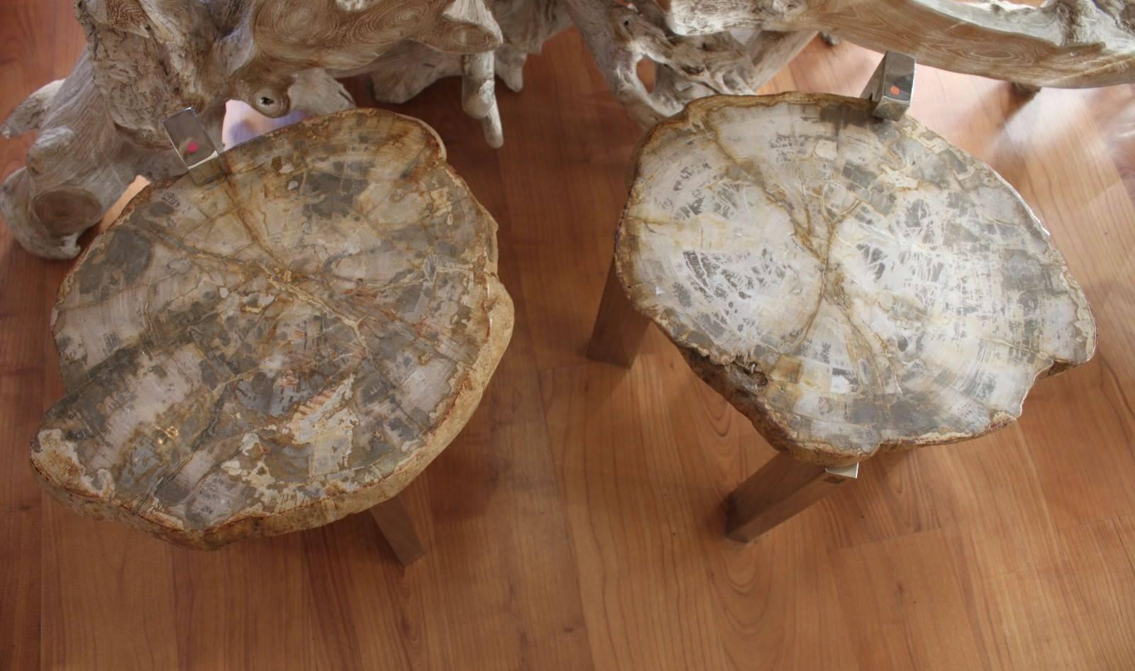 Elegant pair of side tables made in petrified wood (25 Million years). Color beige.
Dimensions: Height 41cm, diameter 45cm.

 