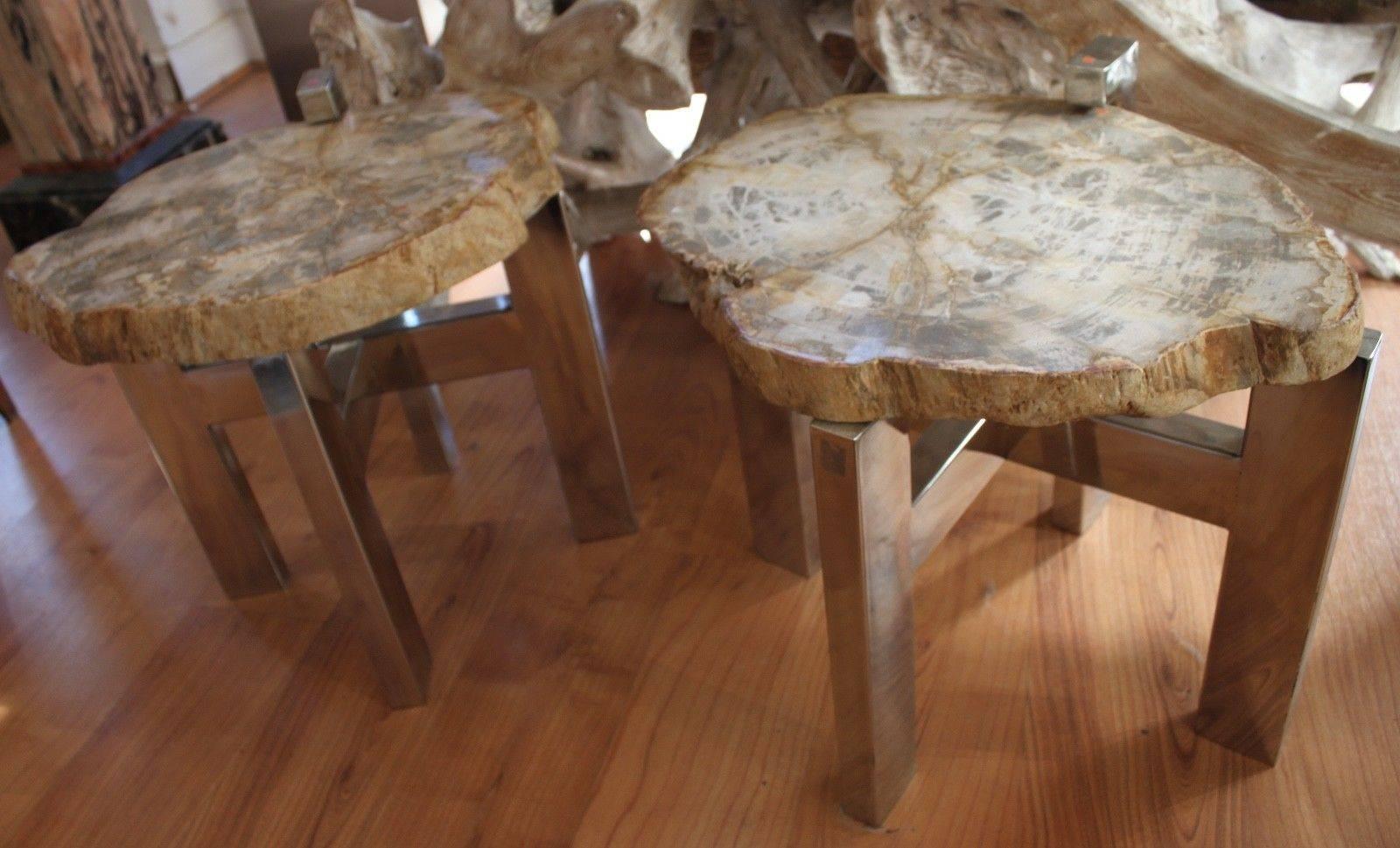 French Pair of Petrified Wood Side Tables For Sale