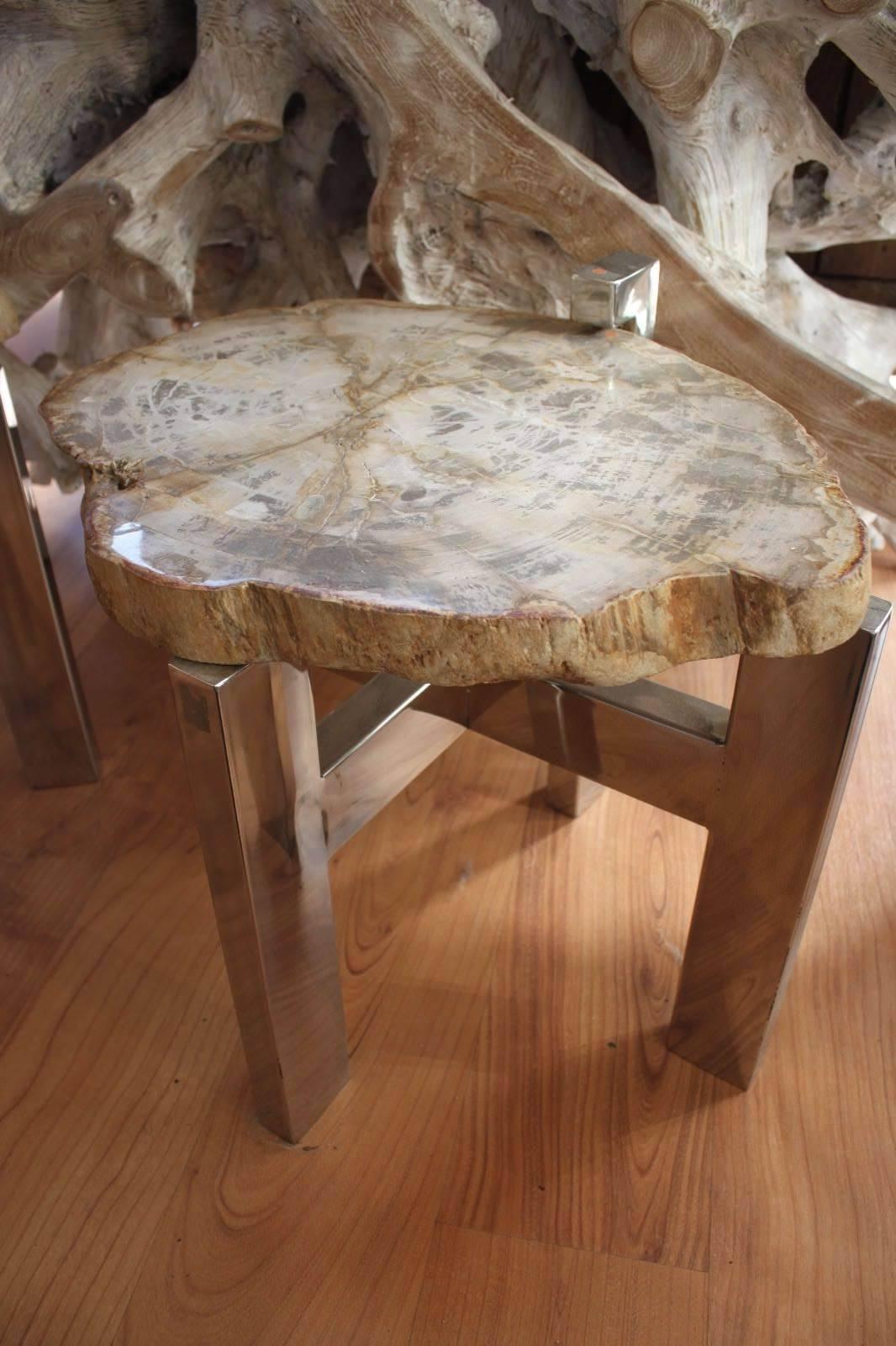 Pair of Petrified Wood Side Tables In Excellent Condition For Sale In Marseille, FR